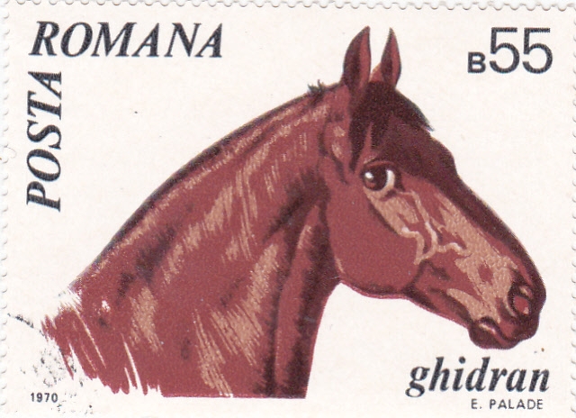 CABALLO-GHIDRAN