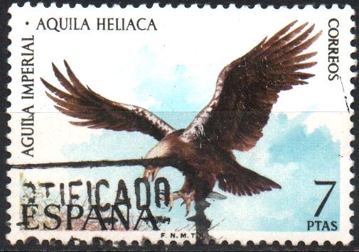 AGUILA  IMPERIAL