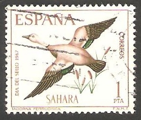 sahara español - 262 - Tarro