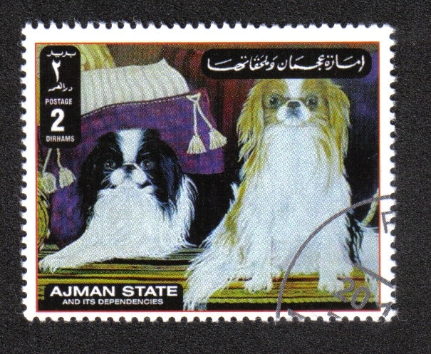 Perros Ajman