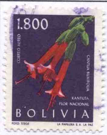 Flora boliviana