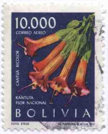 Flora boliviana