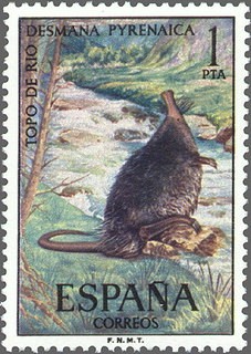 ESPAÑA 1972 2102 Sello Nuevo Serie Fauna Hispanica Topo de Agua