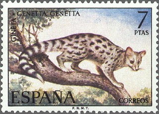 ESPAÑA 1972 2106 Sello Nuevo Serie Fauna Hispanica Gineta c/señal charnela