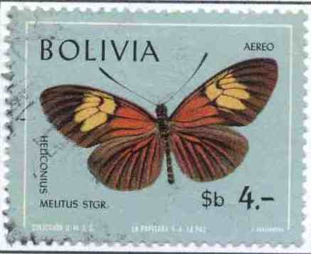 Fauna boliviana - mariposas en colores naturales