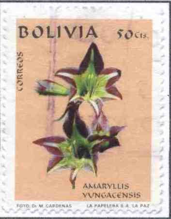 Flora boliviana