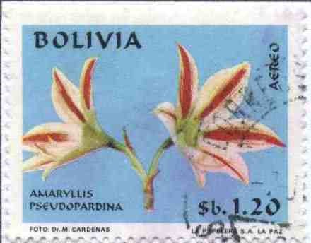 Flora boliviana