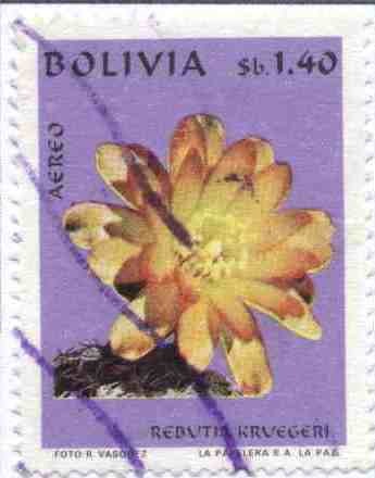 Flora boliviana