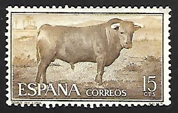 Fiesta nacional de Tauromaquia - Toro de lidia