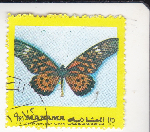 MARIPOSA