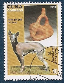 Perros de Raza - Perro sin pelo autóctono - Mochica Perú