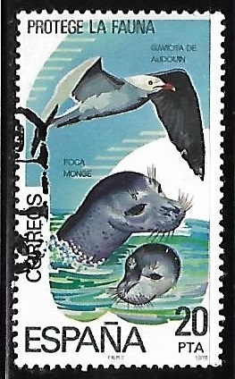 Protección de la naturaleza - Gavita Audouin y foca Monge