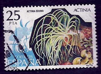 ACTINIA