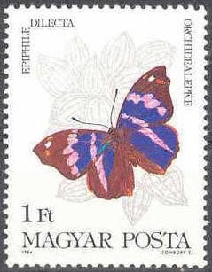 Mariposas 