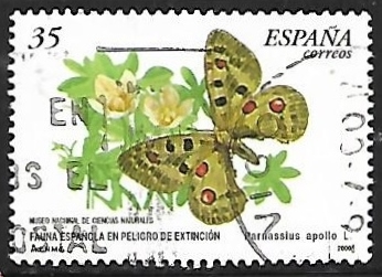 Fauna española en peligro de extinción - Parnassius apollo L