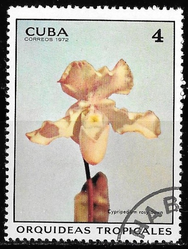 Cuba-cambio