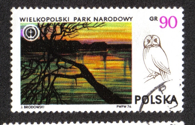 Parques Nacionales, Parque Nacional de Wielkopolski y Tawny Owl (Strix aluco)