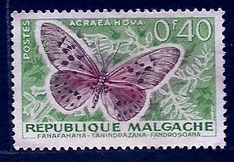 mariposa