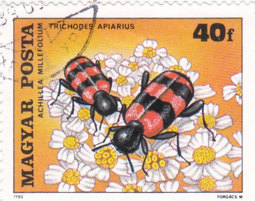 ABEJAS