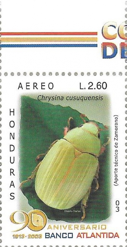 Coleópteros de Honduras