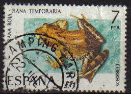 ESPAÑA 1975 2276 Sello V Fauna Hispánica Rana Roja Rana Temporaria Usado