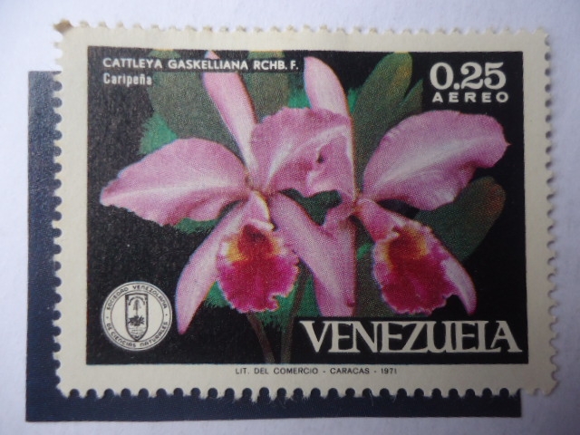 Catleya Gaskeliana RCHB.F Caribeña-Orquidea 1971