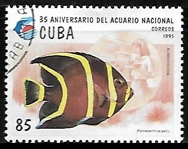 35 Aniversario del Acuario Nacional