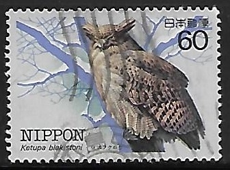 Blakiston's Fish Owl