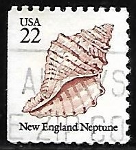 New England Neptune