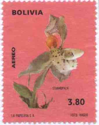 Flora boliviana - Orquideas