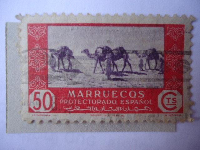  Ed: 285 - Marruecos Español - Caravana de Dromedarios (Camelus dromedarius) 