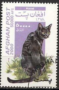 Gatos