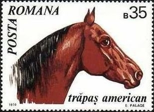 Caballos 1970