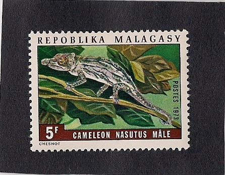 Camaleon