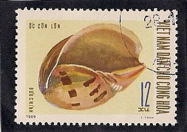 Caracol