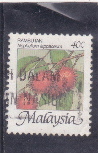 rambután 