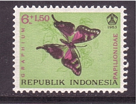 Mariposa