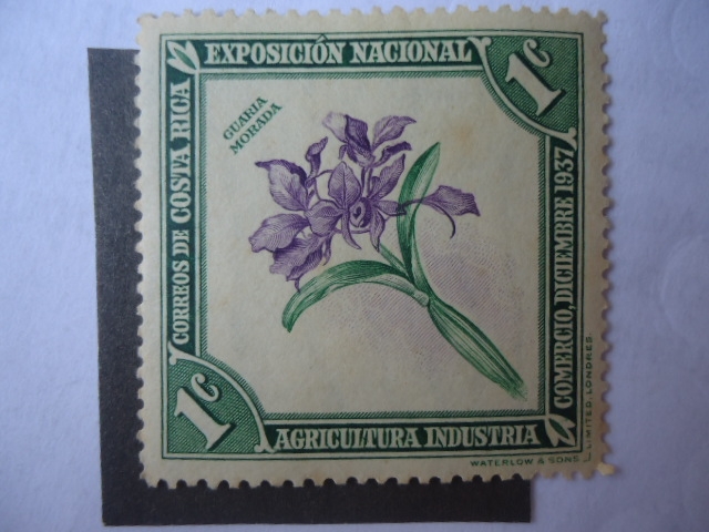 Guaria Morada-Orquídea - Exposición Nacional Agricultura, Industria,Comercio, Dic. 1937.