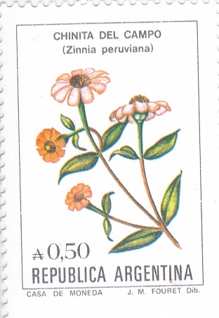 FLORES-CHINITA DEL CAMPO 