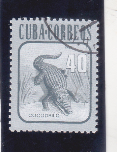 COCODRILO