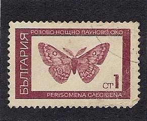 Mariposa