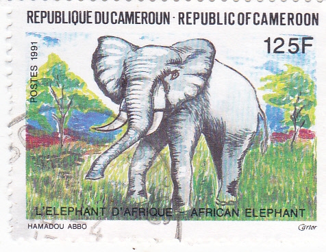 ELEFANTE AFRICANO