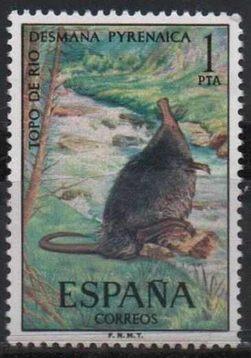 Fauna hispanica (Topo d´Agua)