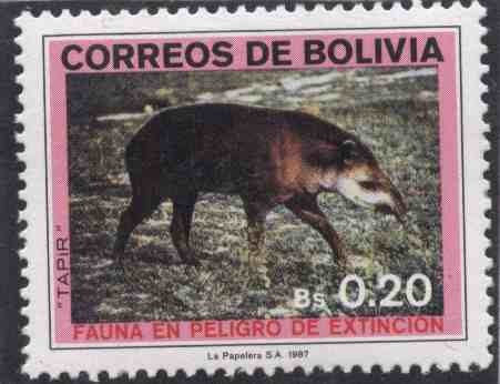 Fauna en Peligro de Extincion