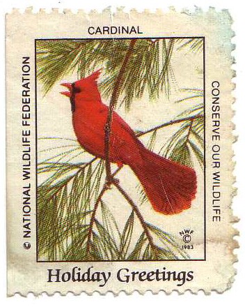 Cardinal_National Wildlife Federation