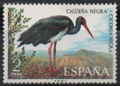 Fauna Hispanica 