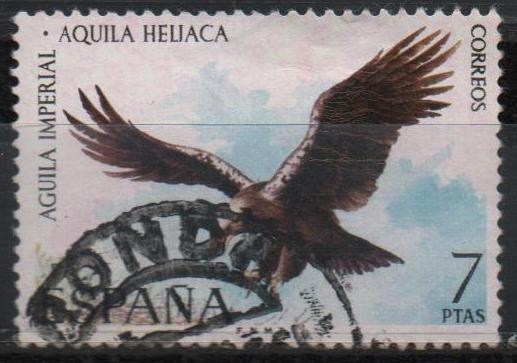 Fauna Hispanica 