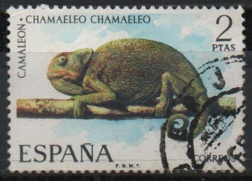 Fauna Hispanica 