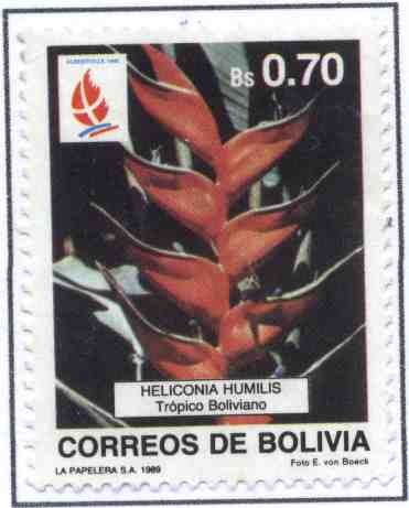 Flora Boliviana