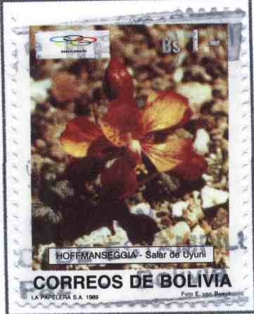 Flora Boliviana